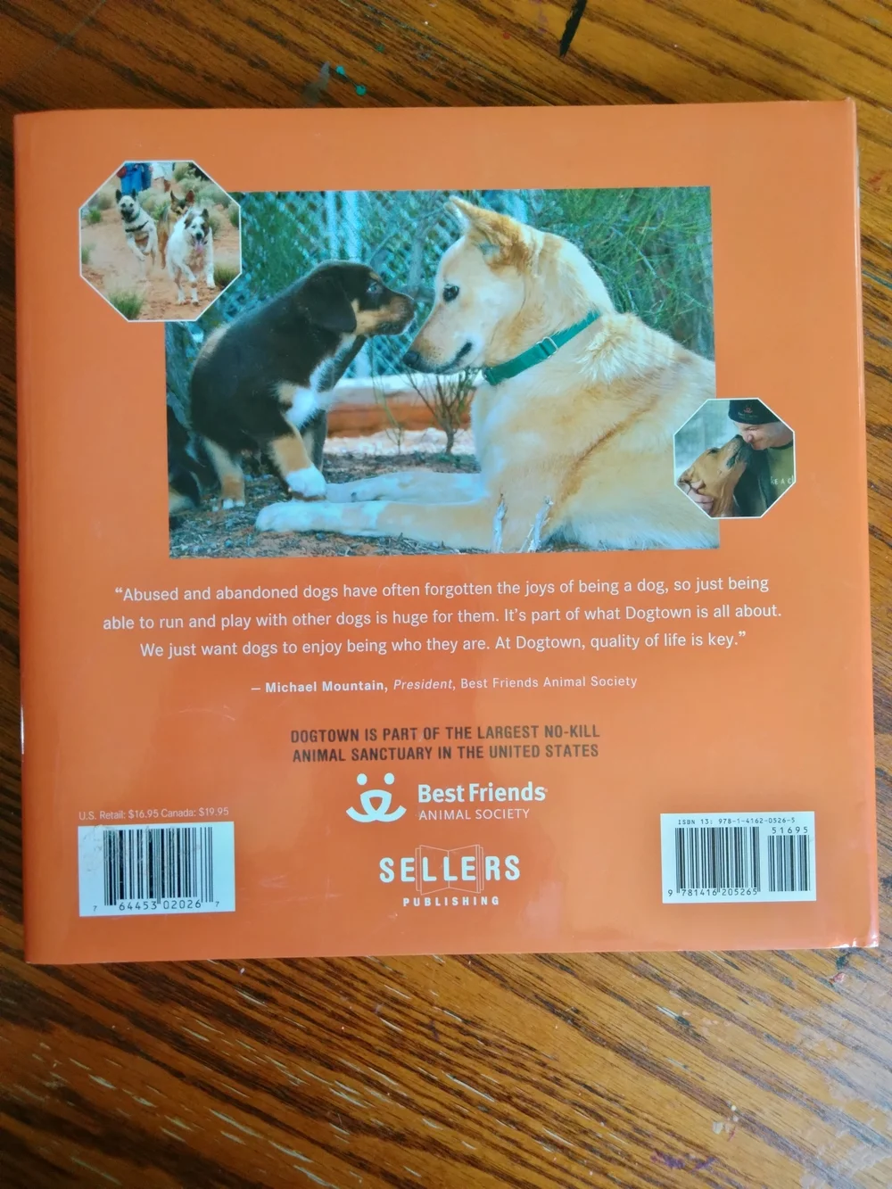 Dogtown A Sanctuary for Rescued Dogs, Hardback by Bob Somerville